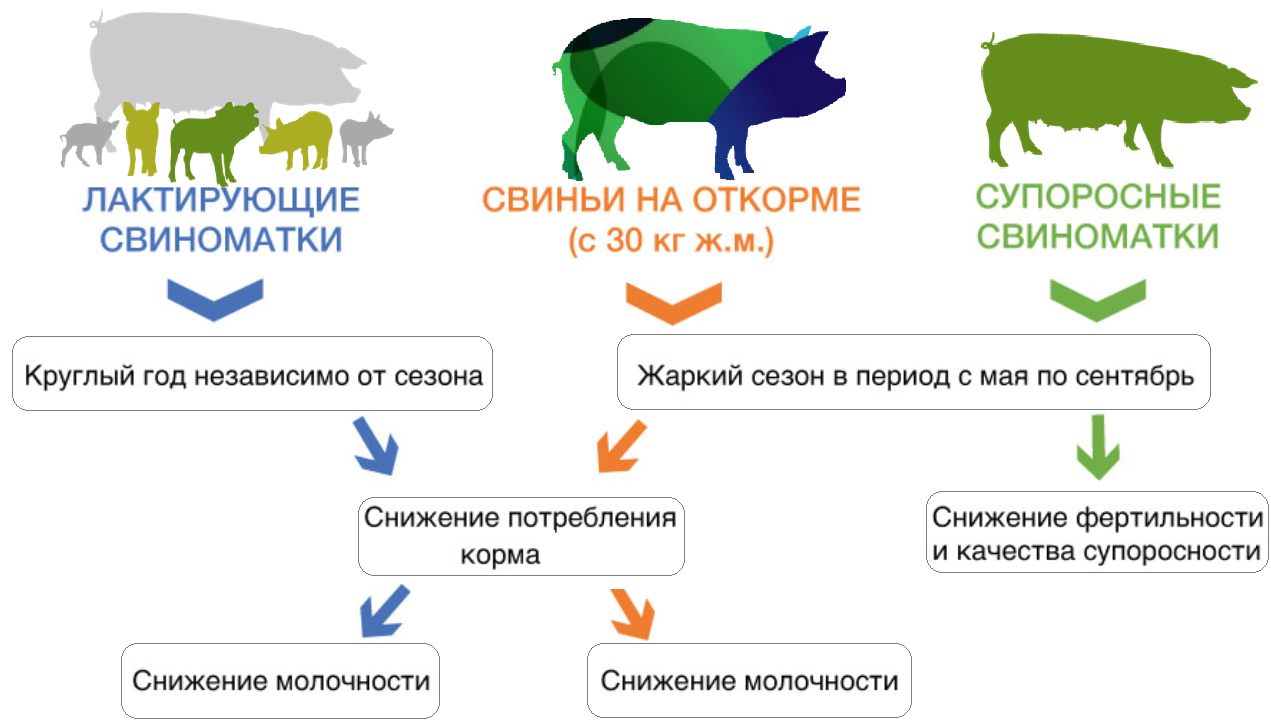 Борьба с тепловым стрессом