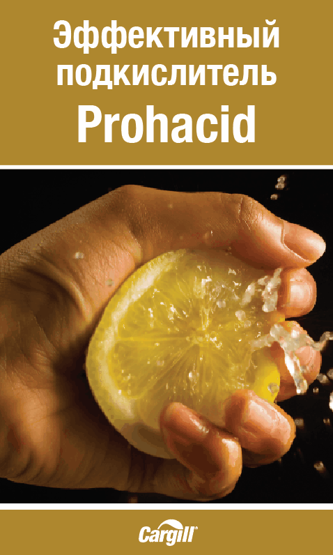 prohacis-classic-2-1